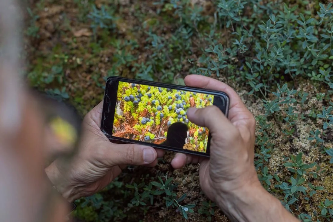 „Pelkių mokykla“