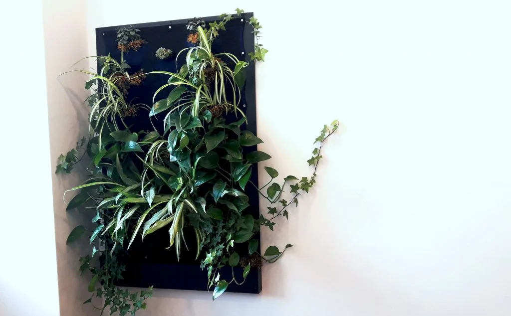 zalioji vertikali tekstiline sienele