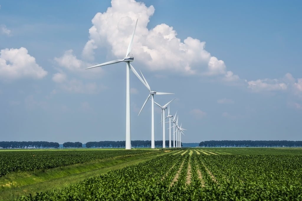 beautiful view wind turbines grass covered field captured holland