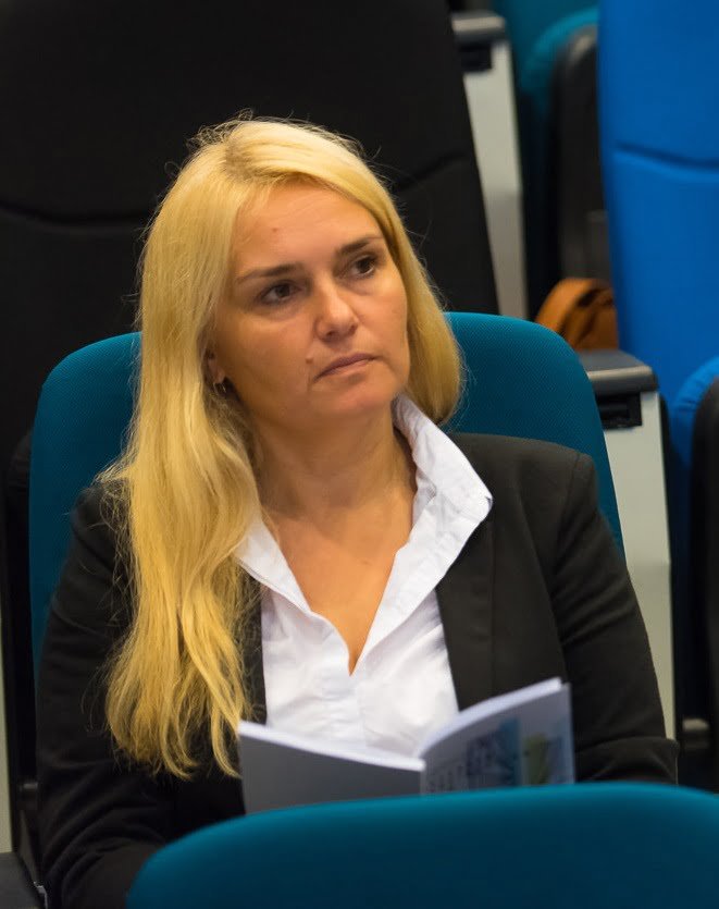 Kaune svarstoma, kaip spręsti urbanistines Eigulių rajono problemas 2 Laura Jankauskaitė Jurevičienė