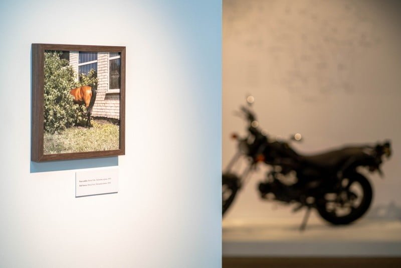 tai ko nebebus lietuvos kaimas tadas kazakevičius