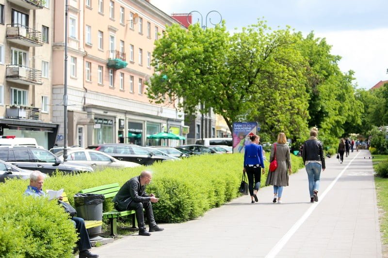 vokiečių gatvė vilnius senamiestis alėja žaluma medžiai pėstieji