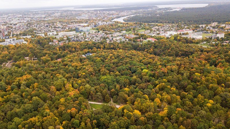 kaunas azuolynas zaliakalnis