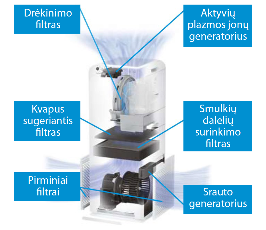 2.Streamer Bendroves nuotr.