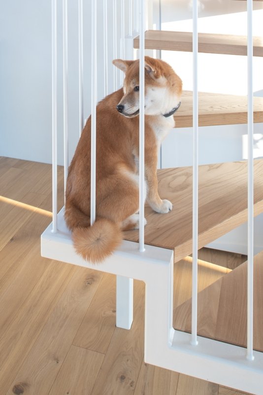 Medis interjere: architektai ieško laikui nepavaldžių, išjaustų sprendimų 3 © Aiste Rakauskaite Photography 9