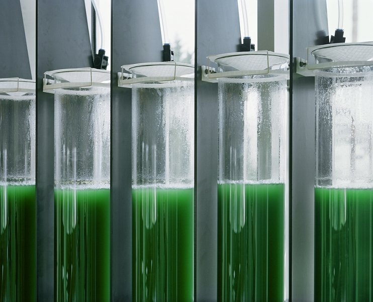 PhotoSynthetica – miesto mikrobiologijos dėmuo 4 4 ecoLogicStudio BioFactory pilot scheme at Nestle HQ in Lisbon ©Andre Cepeda