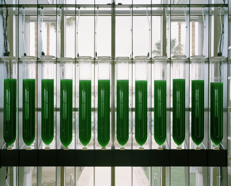 6 ecoLogicStudio BioFactory pilot scheme at Nestle HQ in Lisbon ©Andre Cepeda