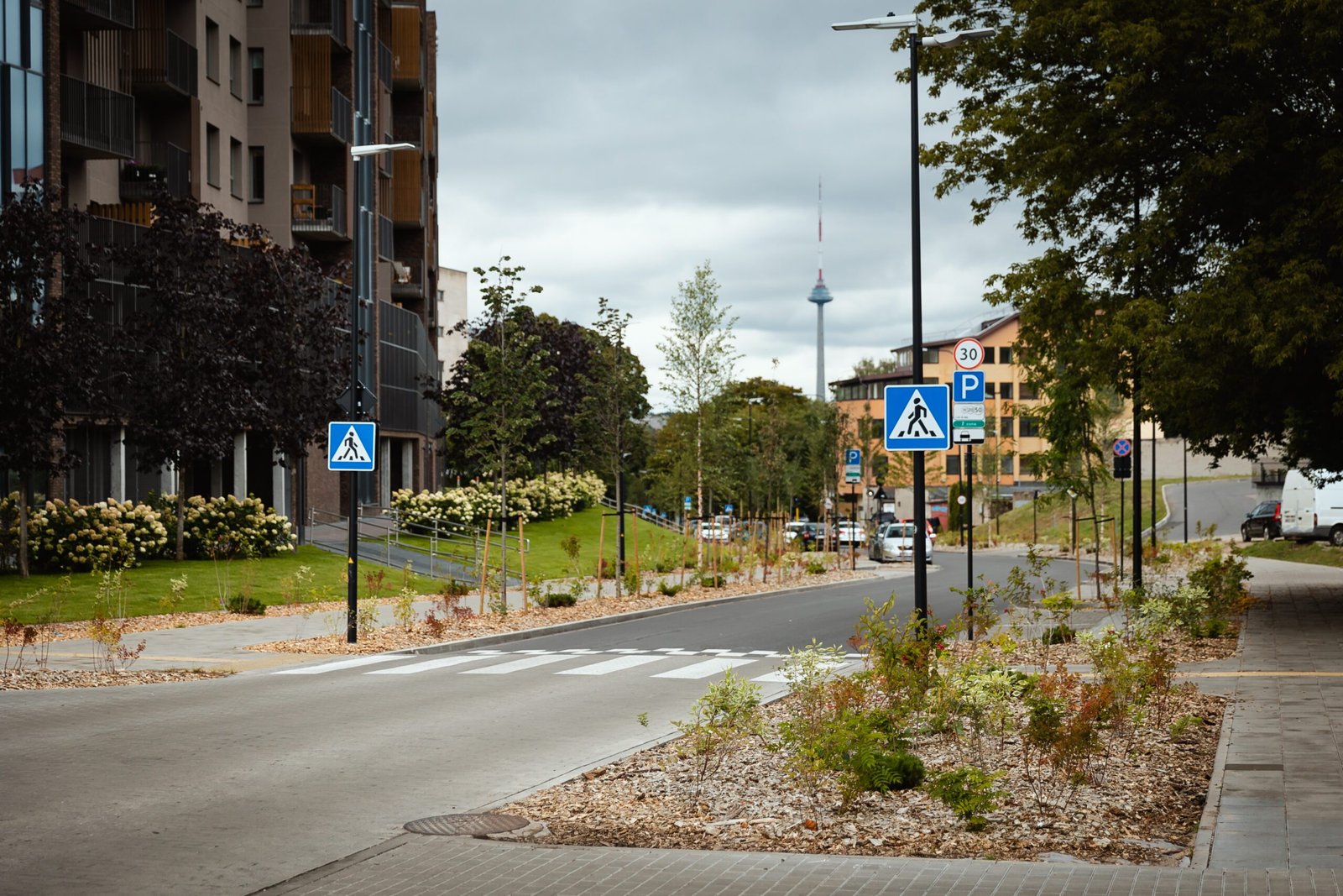 Vilniuje šiemet bus apželdinta per 70 km gatvių 1 220913 VMS Gatves © Eitvydas Kinaitis 014 scaled