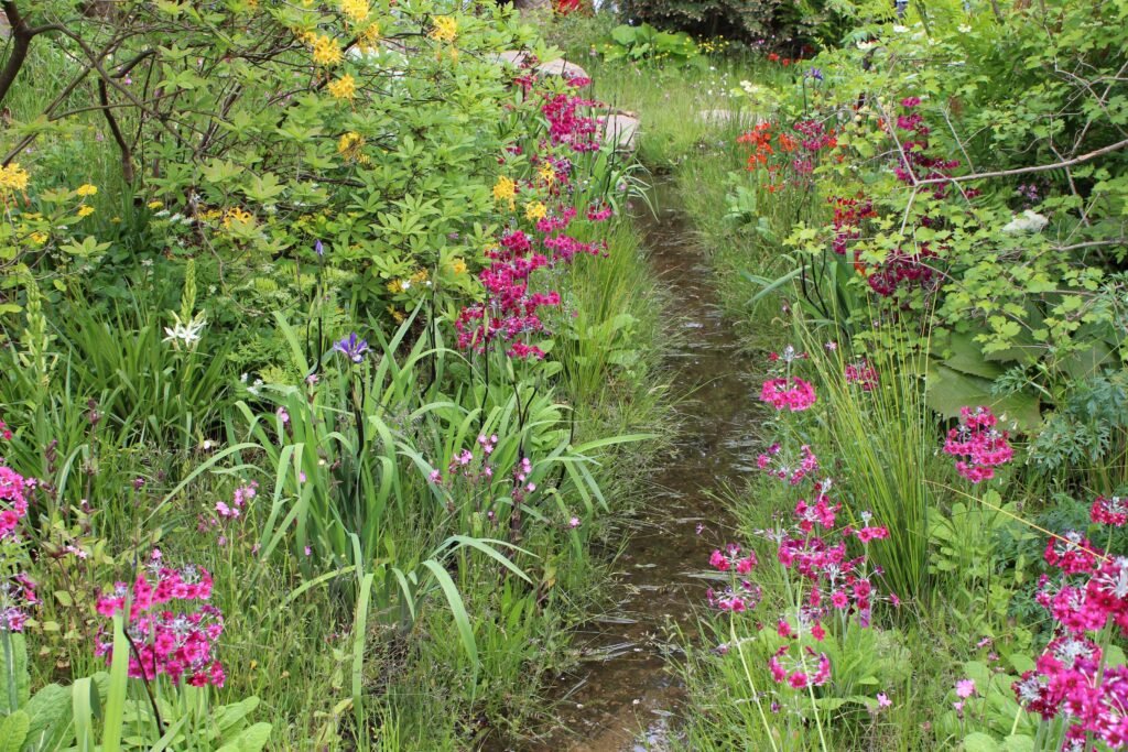 Dan Pearson 2015 Gold