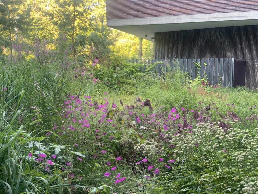 Egles apartamentu sodas 1 2018