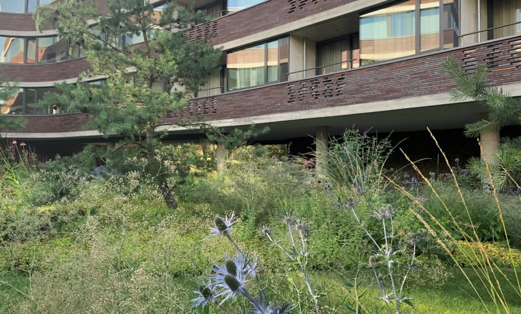 Egles apartamentu sodas 2 2018