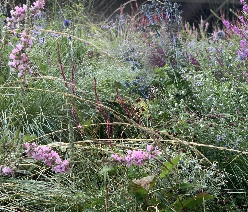 Egles apartamentu sodas 3 2018