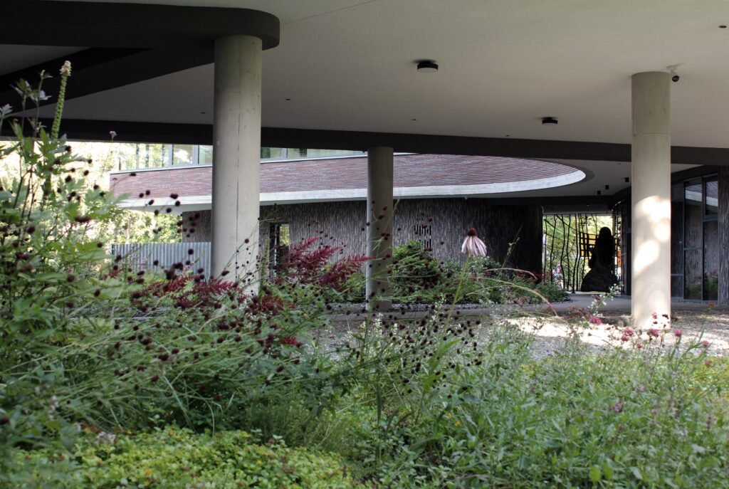 Egles apartamentu sodas 4 2018 1