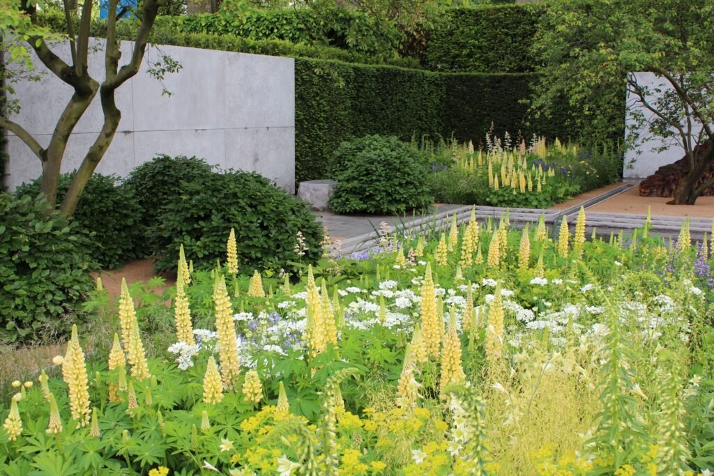 Luciano Giubbilei 2014 Best in Show