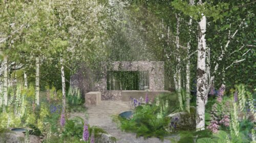 „RHS Chelsea Flower Show“ organizatorių nuotr.