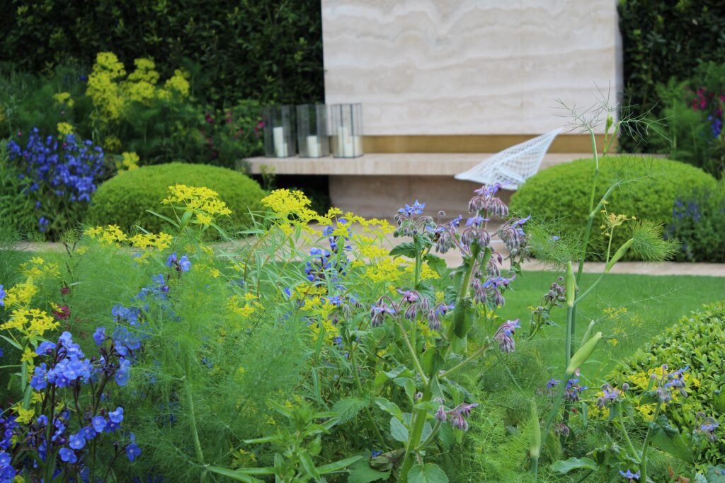 Tommaso del Buono and Paul Gazerwitz 2014