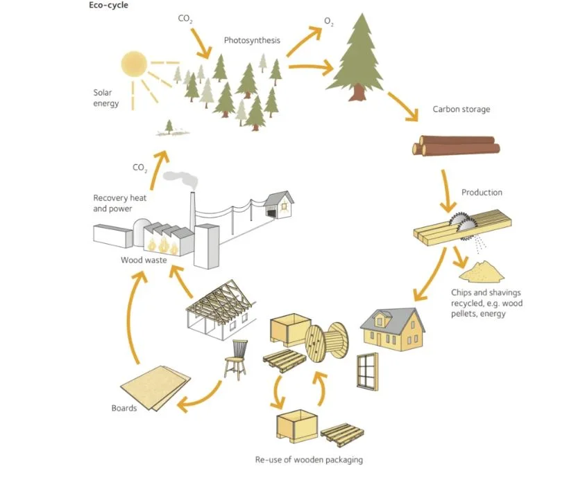 Kaip Šiaurės ir Vidurio Europoje projektuojami mediniai daugiaaukščiai? 16 pav 6 1