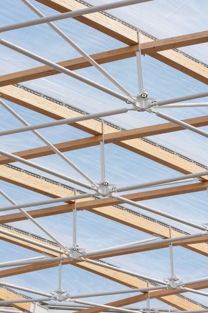 Medinė architektūra veržiasi naujais atradimais 10 pav 7.1 asociatyvi nuotr 1