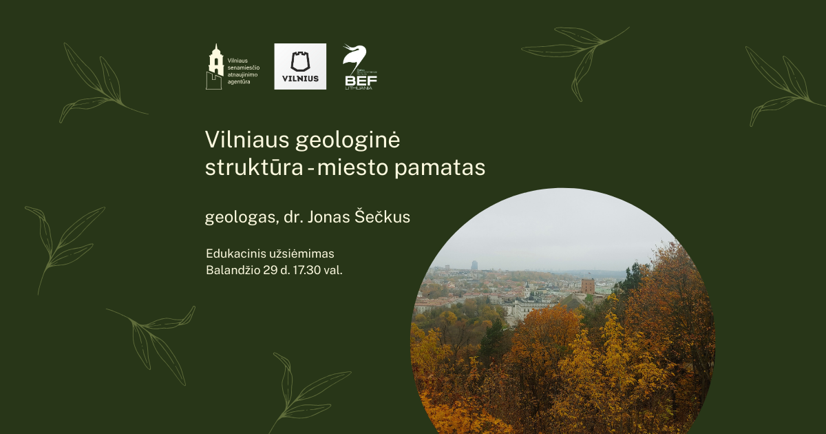 Vilniaus senamiestis zalios ios sostines DNR renginys