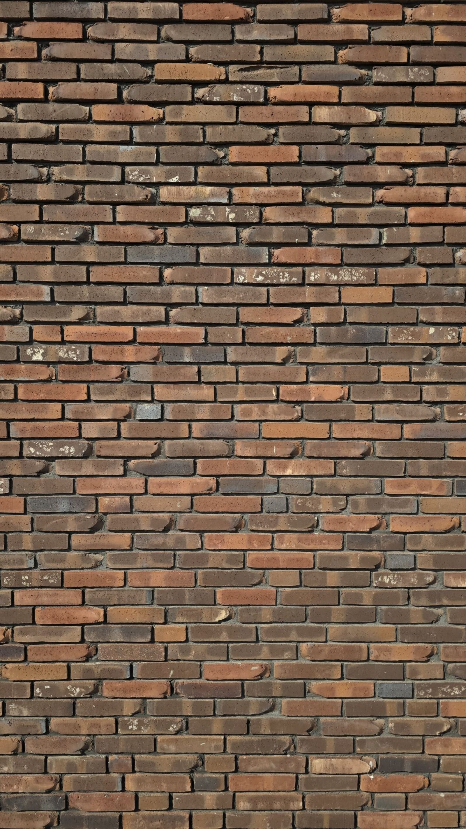 Mažas biudžetas – didelis efektas: kaip žaisti keramikos ir klinkerio raštais bei formomis? 6 „Nuskeltais kampais plyteles 3D efektas padrikas klijavimas nesutampa siules. Agmeka arcgyvas 3.jpg kopija scaled