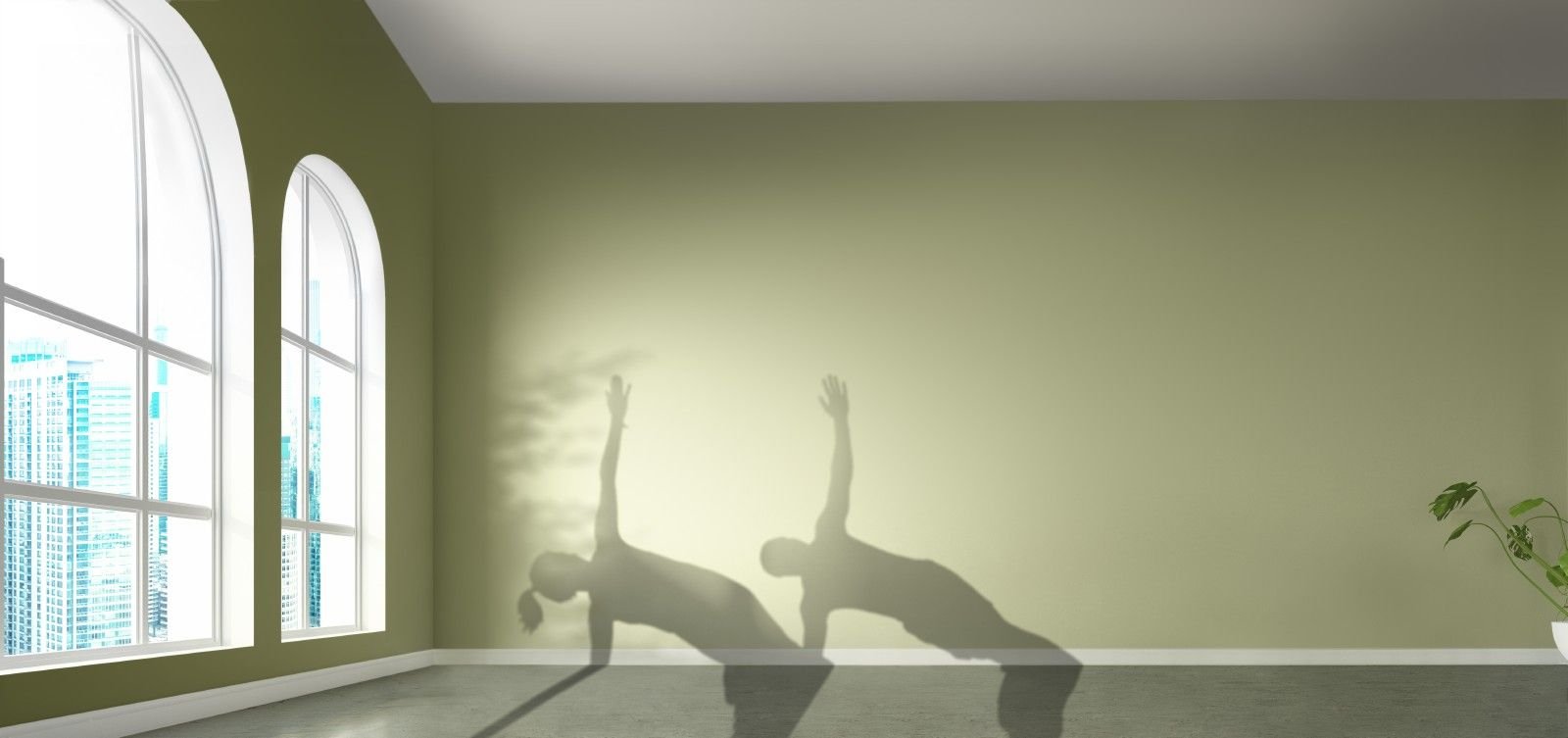 Tvarioji statyba – profesionalų pasirinkimas 2 Interior paints yoga landscape