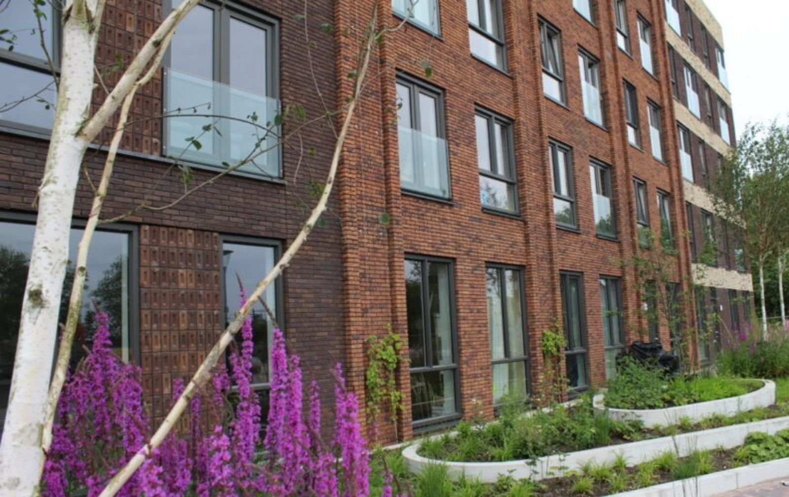 Mažas biudžetas – didelis efektas: kaip žaisti keramikos ir klinkerio raštais bei formomis? 11 Skirtingu storiu plyteles. 3D efektas Agmeka arhyvas