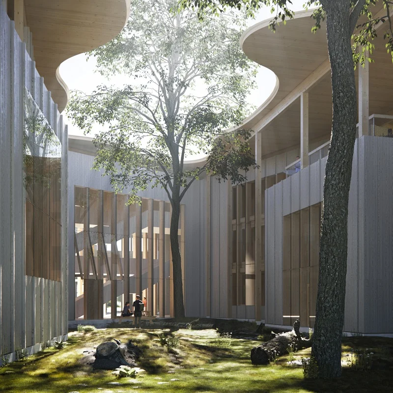 Statyba iš medienos ir kitų organinių medžiagų: vizija ir iššūkiai 5 Valstybinės miškų urėdijos pastato projektas, „After Party“, „Išora x Lozuraitytė“ vizualizacija