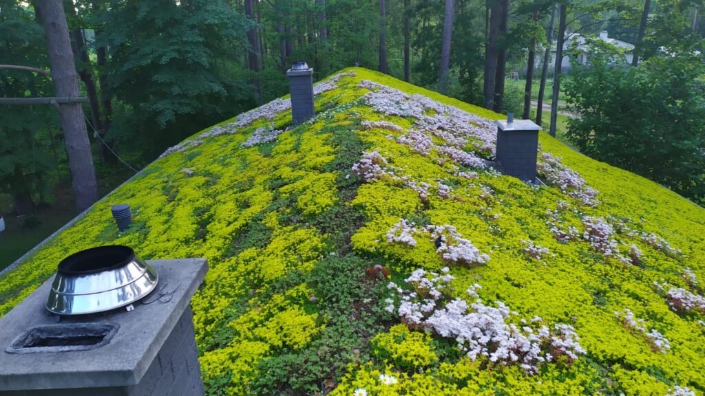 Naujos hidroizoliacijos galimybės Lietuvoje 4 SOPRANATURE