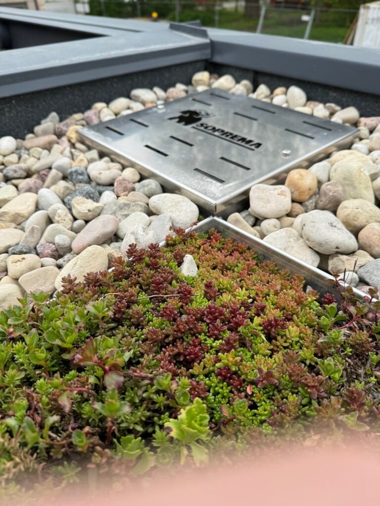 Naujos hidroizoliacijos galimybės Lietuvoje 2 SOPRANATURE 2 1