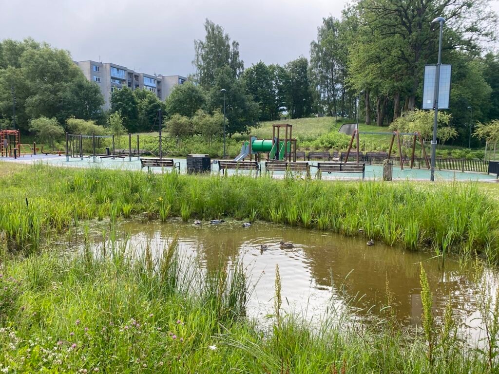 Vandens surinkimo ilome Plungeje