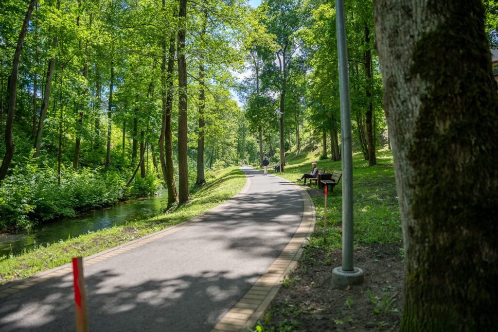 Lakštingalų take – baigiamieji rekonstrukcijos darbai 3 lakstingalu takas 2