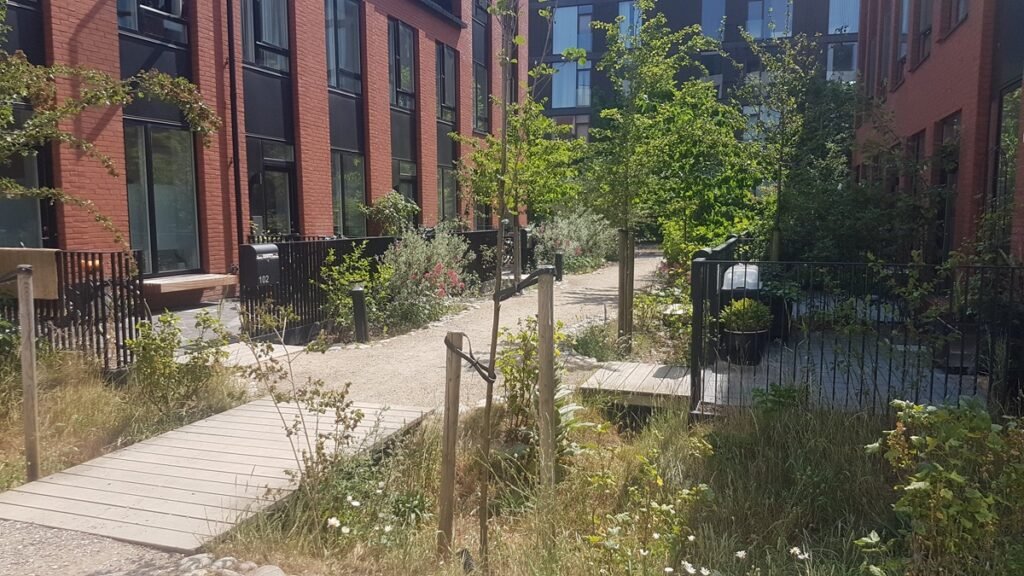 Kempininiai miestai (sponge city): gamta diktuoja atsakymus 4 Holmene Giedres Puzinauskienes