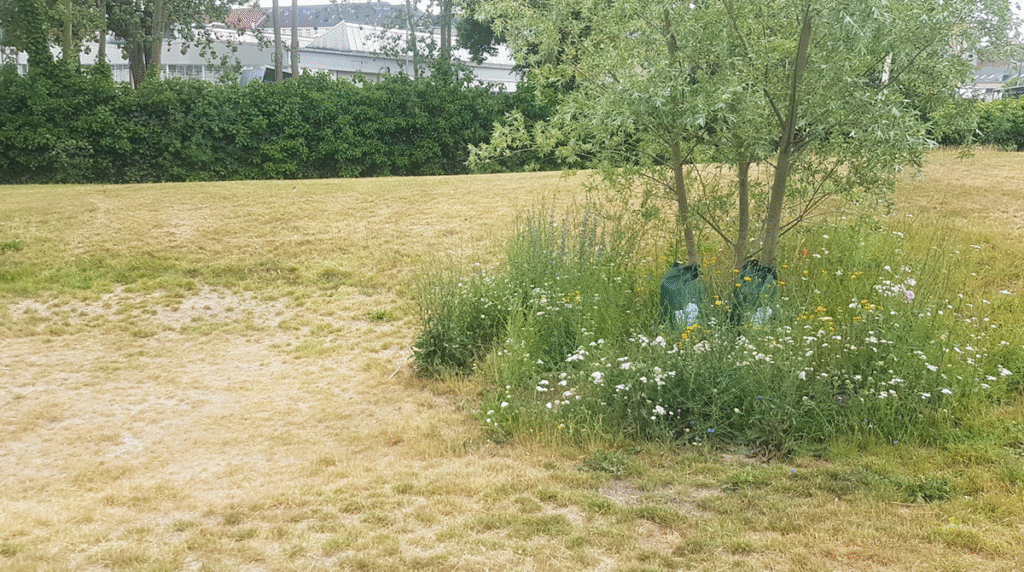 Kempininiai miestai (sponge city): gamta diktuoja atsakymus 3 Kopenhaga Giedres Puzinauskienes