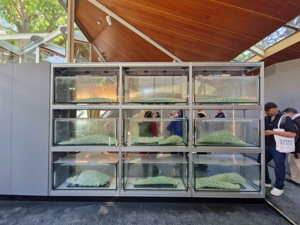 Gamta mums padės: Venecijos architektūros bienalė. II dalis 13 16 Canada 1