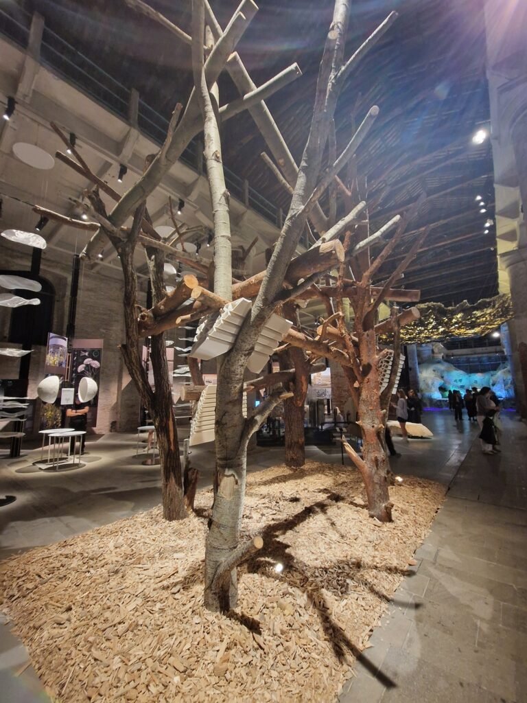 Pasaulio gelbėjimo scenarijai: Venecijos architektūros bienalė. I dalis 7 7 Domino 3