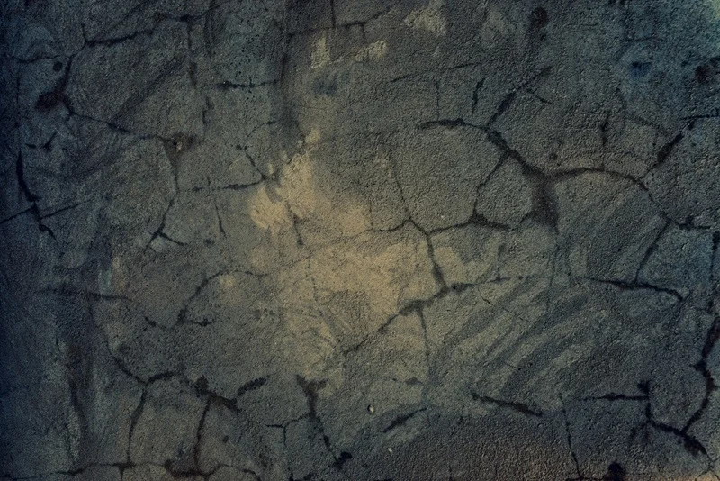 photo 1530216415517 770949d4cb00