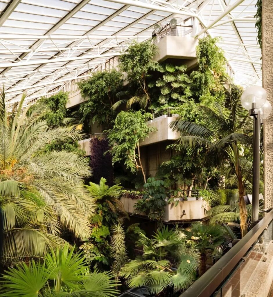 Barbican kompleksas Anglija interjeras oranzerija