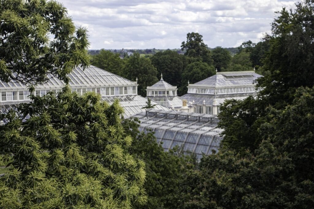 Botanikos sodas Londonas Unesco paveldo apsauga