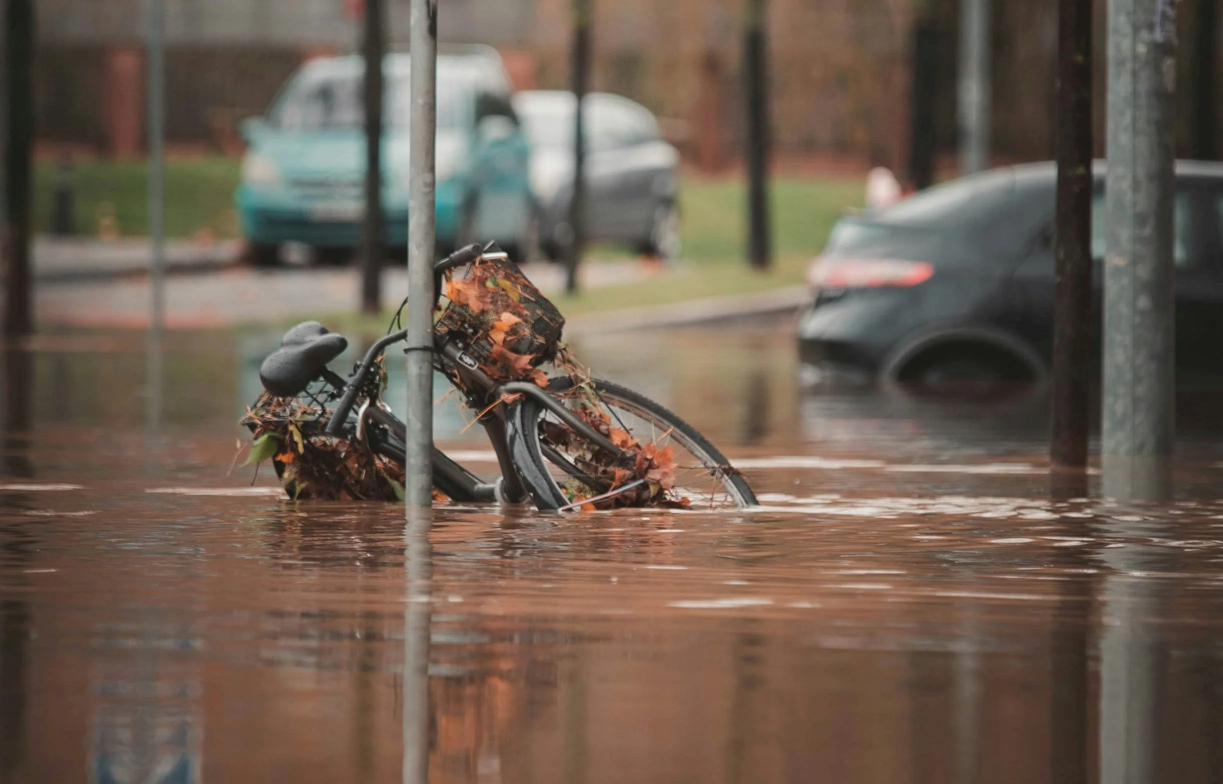 Liutis mieste. Juan Manuel Sanchez