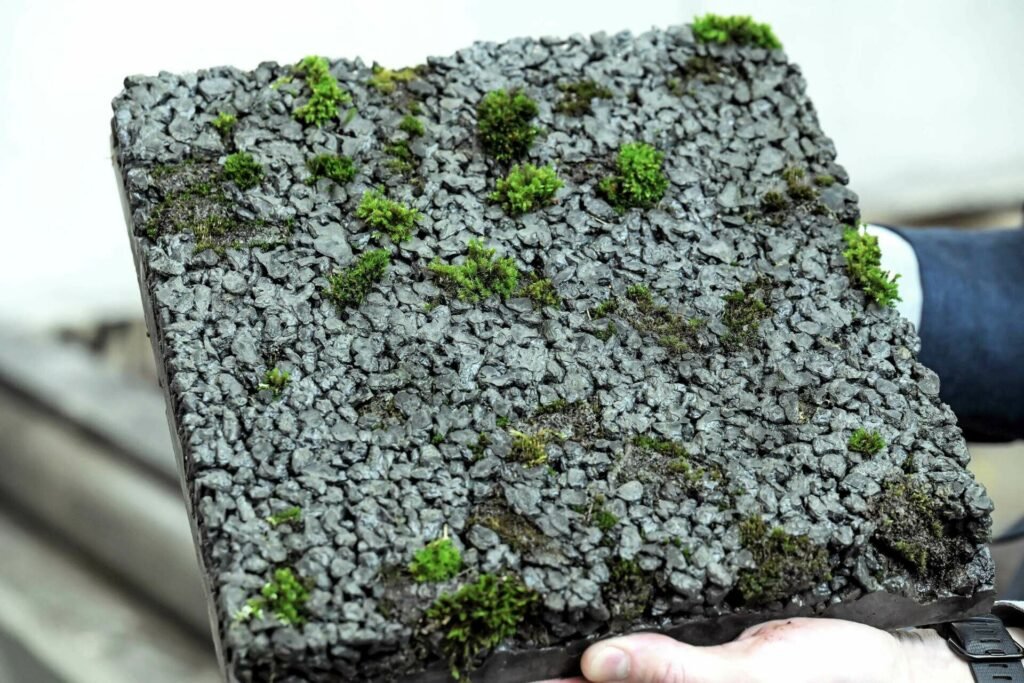 Ant LNDT stogo – VILNIUS TECH mokslininkų kurtas gyvastingas betonas 3 beton1