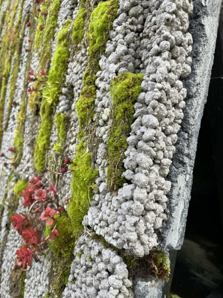 Ant LNDT stogo – VILNIUS TECH mokslininkų kurtas gyvastingas betonas 5 beton3