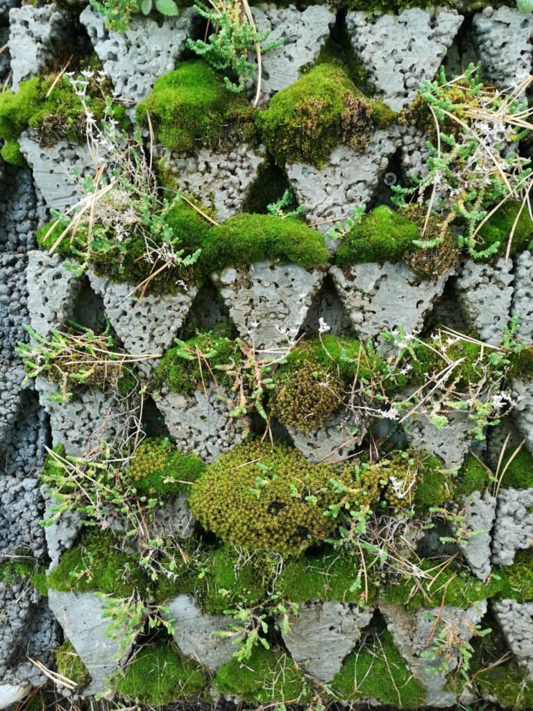 Ant LNDT stogo – VILNIUS TECH mokslininkų kurtas gyvastingas betonas 6 beton4