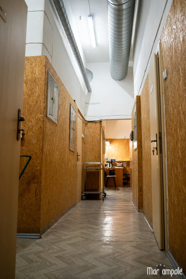 Investicijos į ugdymo kokybę: Rygiškių Jono gimnazijos atnaujinimas 2