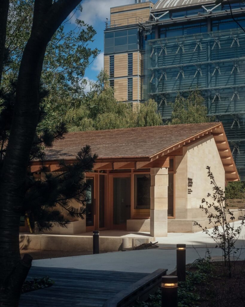 Inovacijos architektūroje naudojant tikras, tvarias ir laiko patikrintas medžiagas 11 6 © Jim Stephenson The Trustees of The Natural History Museum Feilden Fowles scaled 1