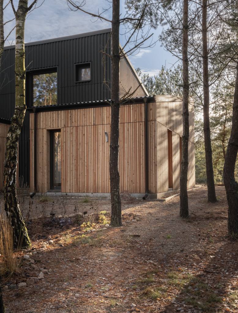 Už standarto ribų: vientisa banguotųjų stogo ir fasado lakštų architektūra 6 juodas namas medzio apdaila banguotu lakstu stogas 4