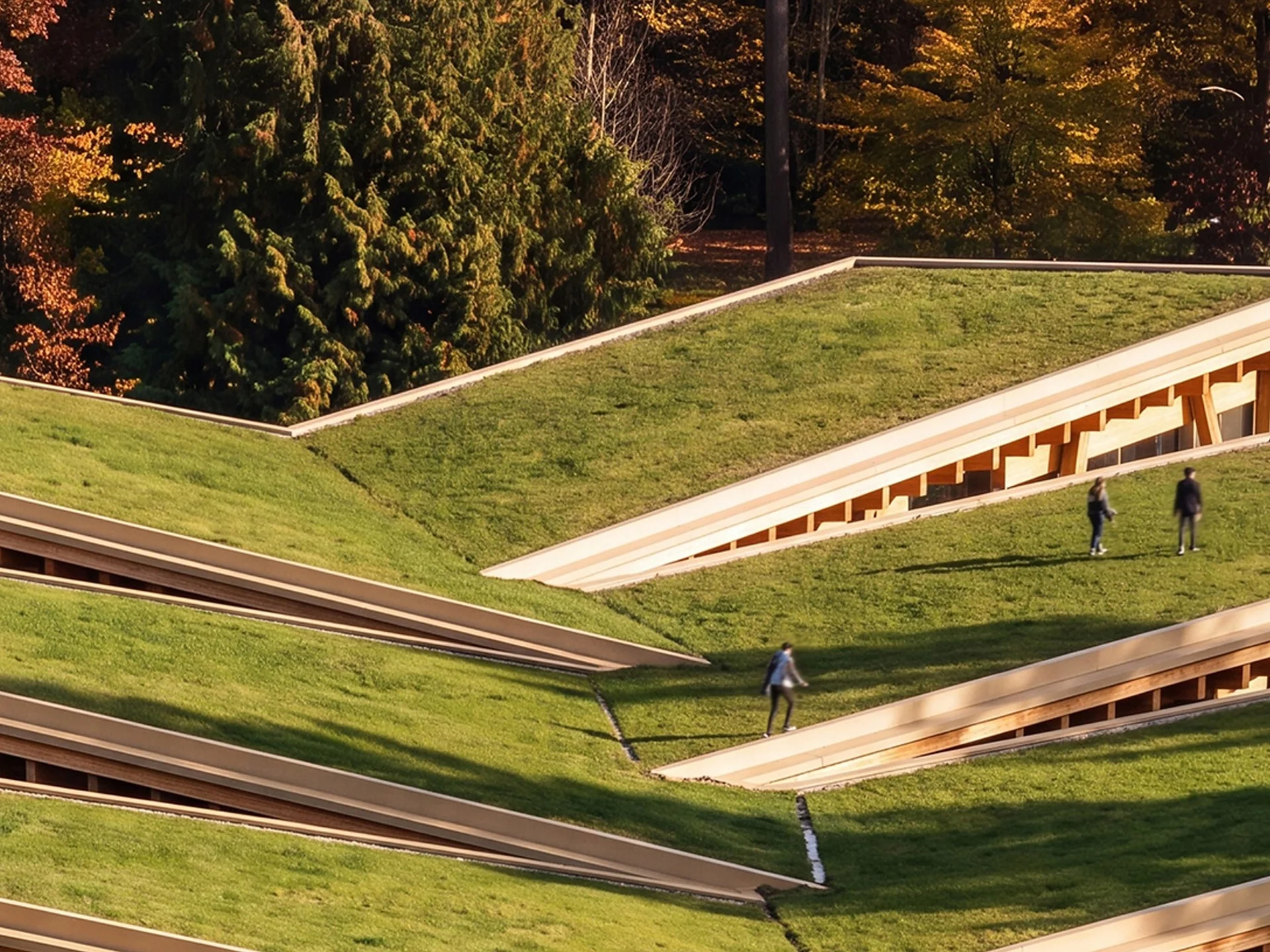 Ar gamykla gali tapti viešąja erdve? Vankuveryje siūloma vaikščioti jos stogais 2 mass timber factory stanley park