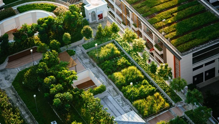 Kaip prisitaikymas prie klimato kaitos transformuos Europos miestus? II dalis 4 DesirMED green