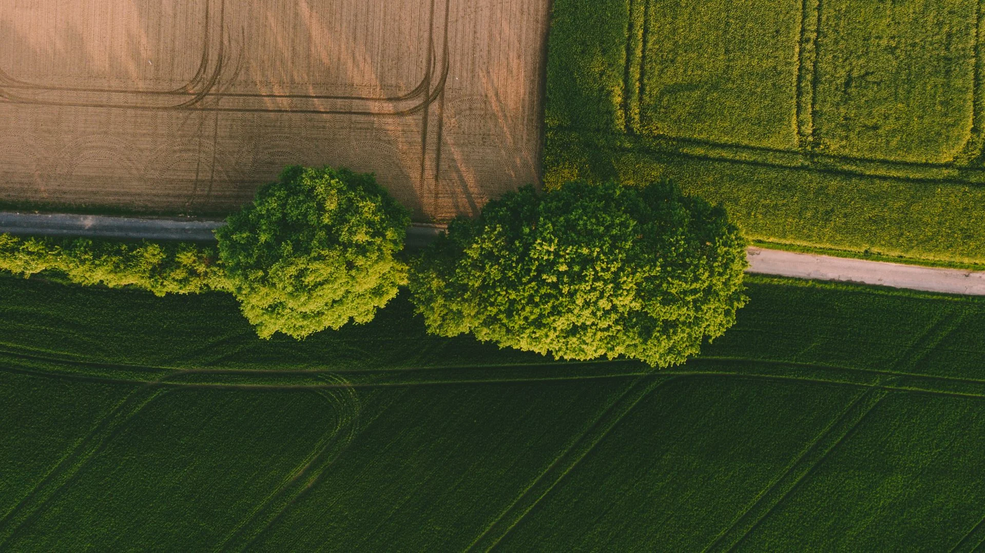 Kada parduodant žemės sklypą būtini kadastriniai matavimai 2 Kada parduodant zemes sklypa butini kadastriniai matavimai