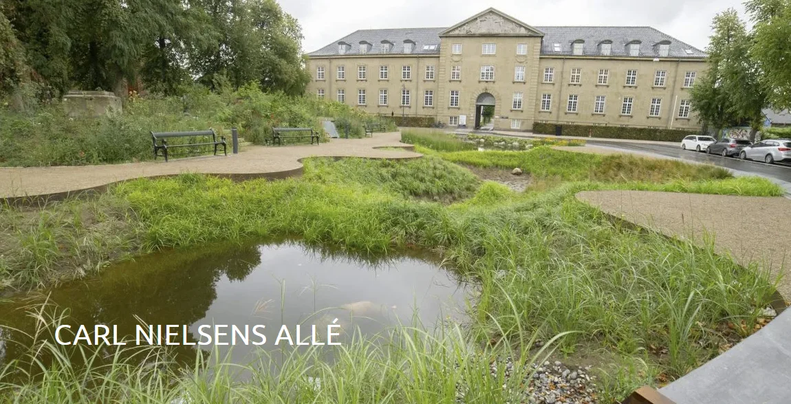 Kaip prisitaikymas prie klimato kaitos transformuos Europos miestus? II dalis 15 Kopenhaga 2022 proj