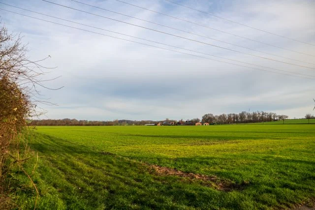 Valstybinės žemės valdymas persikėlė į skaitmeninę erdvę 5 Valstybines zemes valdymas persikele i skaitmenine erdve